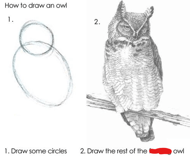 owl